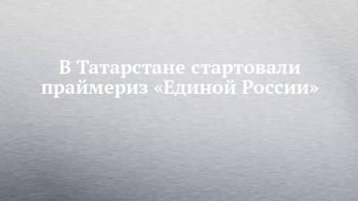 В Татарстане стартовали праймериз «Единой России»