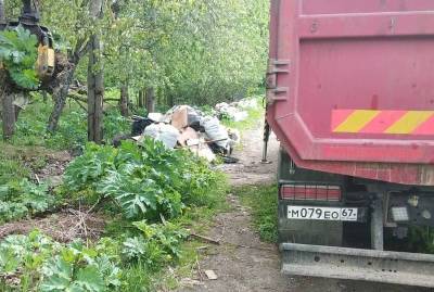 Вывезли 16,8 т мусора. В Смоленске устранили очередную несанкционированную свалку