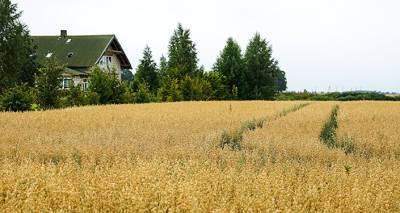 Почти самая дешевая земля в Европе: кто в Латвии скупает пашни и пастбища