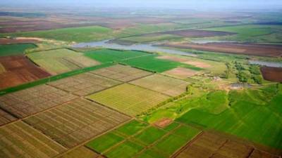 Названо пять условий для успешного запуска рынка земли в Украине