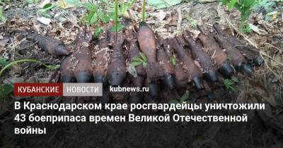 В Краснодарском крае росгвардейцы уничтожили 43 боеприпаса времен Великой Отечественной войны