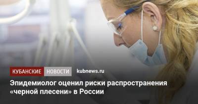Эпидемиолог оценил риски распространения «черной плесени» в России