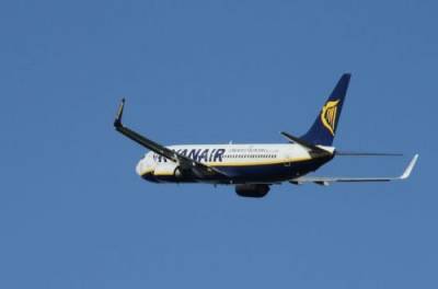 ЕС вызвал «на ковер» посла Беларуси из-за ситуации с лайнером Ryanair