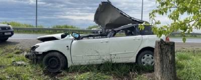 Водитель иномарки в Хакасии врезался в дерево на обочине и погиб