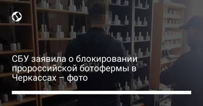СБУ заявила о блокировании пророссийской ботофермы в Черкассах – фото