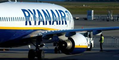 В Беларуси заявили, что боевики ХАМАС заминировали самолет Ryanair, на котором летел Протасевич - в сети смеются - ТЕЛЕГРАФ