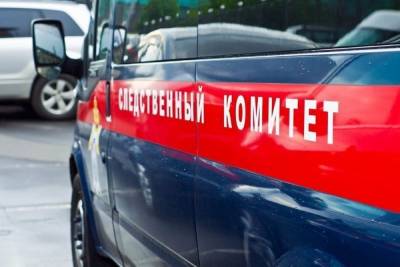 В Тверской области ищут виновных в гибели подростка