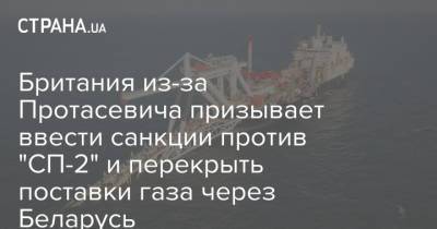 Британия из-за Протасевича призывает ввести санкции против "СП-2" и перекрыть поставки газа через Беларусь