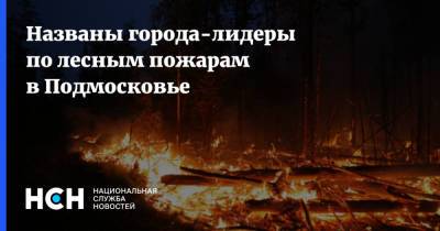 Названы города-лидеры по лесным пожарам в Подмосковье