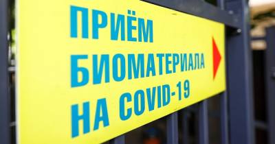 Где в Калининградской области выявили новые случаи коронавируса за прошедшие сутки (список)