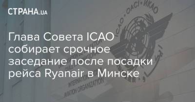 Глава Совета ICAO собирает срочное заседание после посадки рейса Ryanair в Минске