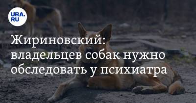 Жириновский: владельцев собак нужно обследовать у психиатра