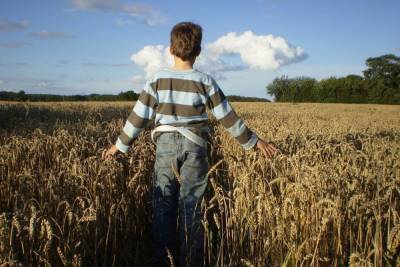Летом в ДНР планируют собрать больше 250 тонн пшеницы