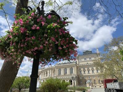 Погода в Одессе 25 мая: лето приближается?