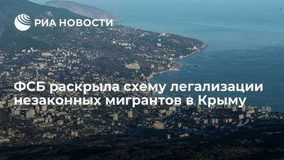 ФСБ раскрыла схему легализации незаконных мигрантов в Крыму