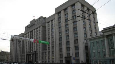 В Госдуме РФ возмутились из-за действий Беларуси с задержанием Протасевича