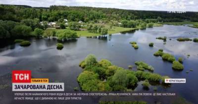 "Зачарованная Десна": туристы и местные едут любоваться затопленными берегами реки