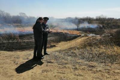В Хабаровском крае нашли 27 пожароопасных земельных участка
