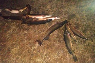 В Бурятии задержали рыбака с незаконной щукой в машине