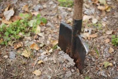 Заточка лопаты: применяю дедовский метод