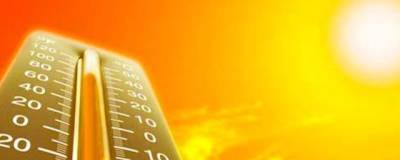 Сегодня в Алтайском крае будет 36-градусная жара