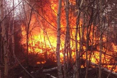 В Бурятии потушили три пожара около сел
