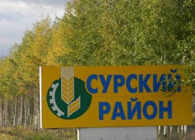 Жители сел в Ульяновской области пожаловались на нашествие черных мошек