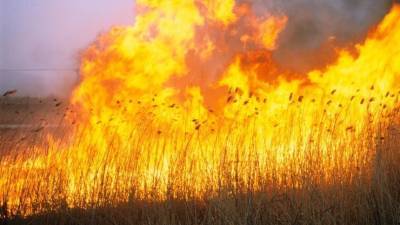 В Башкирии крупный природный пожар охватил 140 гектаров леса