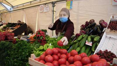 Россия разрешила увеличение импорта азербайджанских томатов