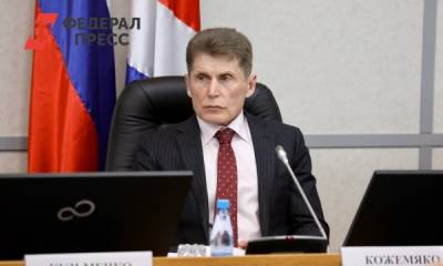 «Единая Россия» может выдвинуть Кожемяко на выборы в Приморье: мнение политолога