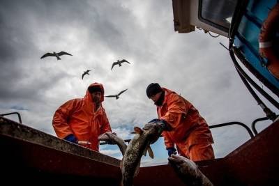 Проблемы рыбаков Мурманской области решают в Москве