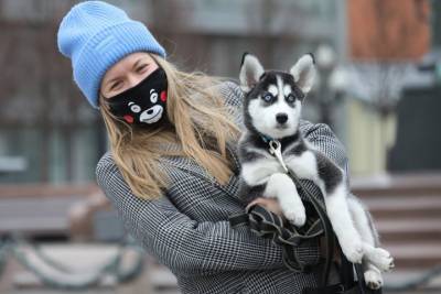 Москвичам напомнили правила перевозки домашних животных