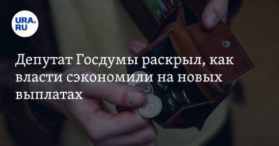 Депутат Госдумы раскрыл, как власти сэкономили на новых выплатах