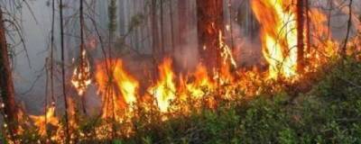 В 11 районах Омской области установилась пожароопасная обстановка