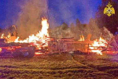 В Смоленской области в горящем сарае погибли куры, индюки и поросята