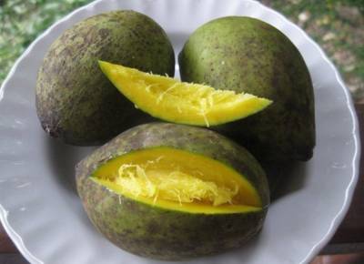 Заморская диковинка бам-балан со вкусом борща со сметаной: необычный фрукт растет на Барнео