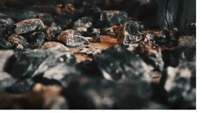 В Ленобласти после пожара в бытовке нашли человеческие останки