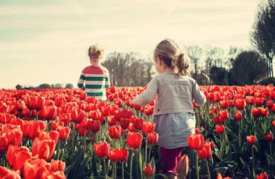 «Убью за цветы!»: в Бердске женщина душила 9-летнего ребенка за сорванные тюльпаны
