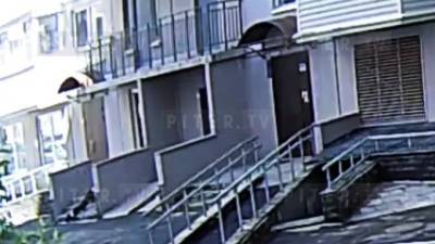 На видео попал момент падения молодого человека с балкона на Мебельной улице - piter.tv - Санкт-Петербург