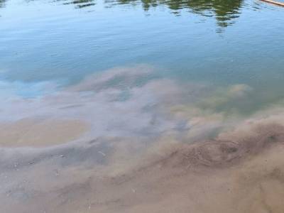 Жители Туапсе рассказали о разливе нефтепродуктов у пляжного побережья (видео)
