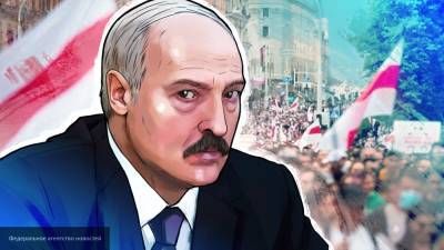 Пользователи Сети встали на защиту Лукашенко в скандале с Протасевичем