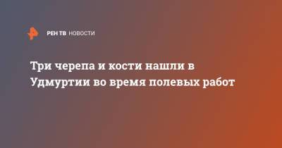 Три черепа и кости нашли в Удмуртии во время полевых работ