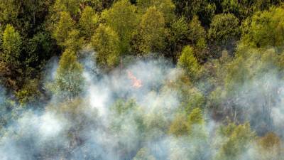 Лесной огонь чуть не добрался до парка «Иремель» в Башкирии