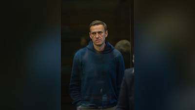 Вера Акимова - Осужденный Навальный стал фигурантом еще одного дела - inforeactor.ru