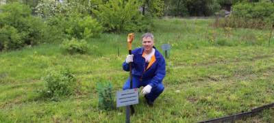 Железнодорожники в Петрозаводске высадили аллею именных деревьев
