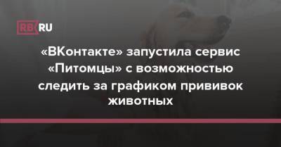 «ВКонтакте» запустила сервис «Питомцы» с возможностью следить за графиком прививок животных