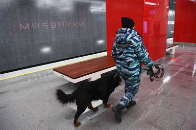 В Москве проверяют сообщения о минировании метро, вокзалов и аэропортов