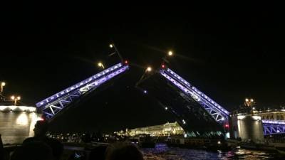 Петербуржцев попросили не приходить на праздничный концерт "Музыка Дворцового моста