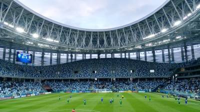 Ректор нижегородского вуза пострадал от мошенников, купив билеты на финал Кубка России по футболу