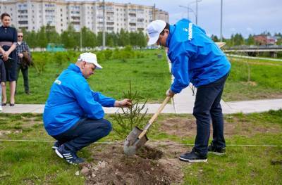 Работники АО "Транснефть – Север" приняли участие в международной акции "Сад памяти"